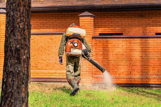 Trusted Cockroach Control service in Clay, AL - Nex Pest Control
